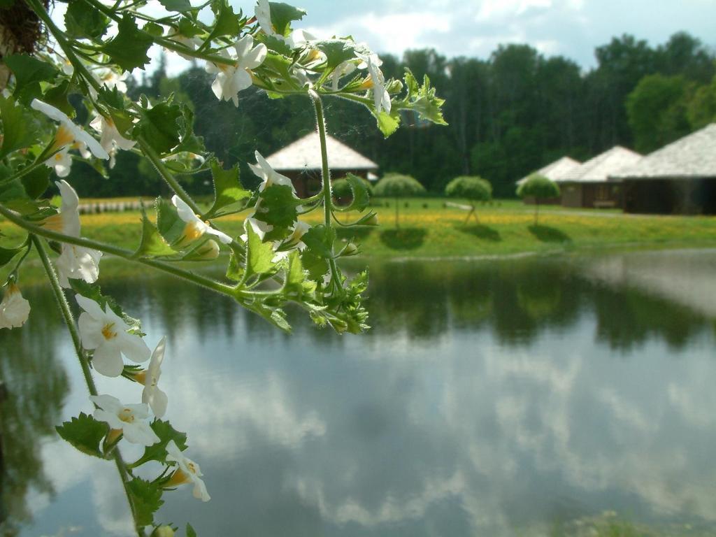 Recreation Center Bruveri Sigulda Szoba fotó